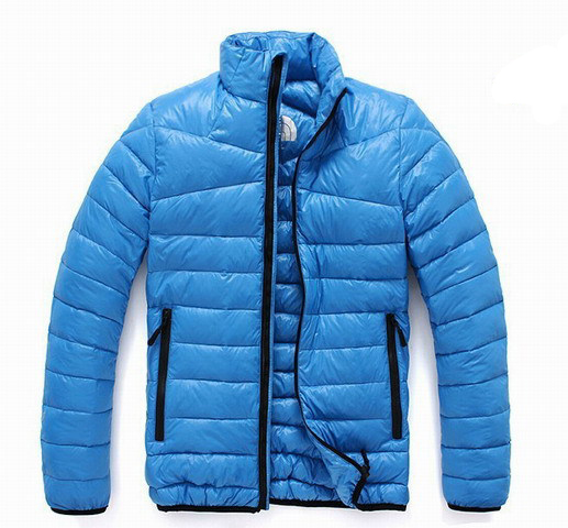 Doudoune The North Face Bleu Pour Homme Pas Cher